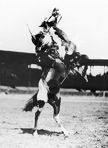 cowgirl on bucking horse - Cowgirls Design