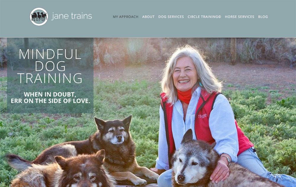 website design for Taos, NM dog trainer Jane Trains